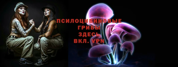 mix Арсеньев