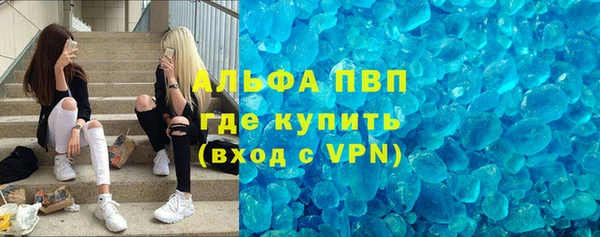 spice Аркадак