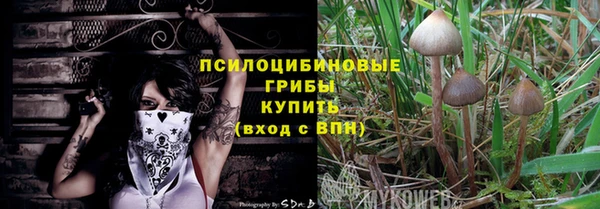 прущая мука Армянск